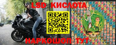 молекула духа Заволжье