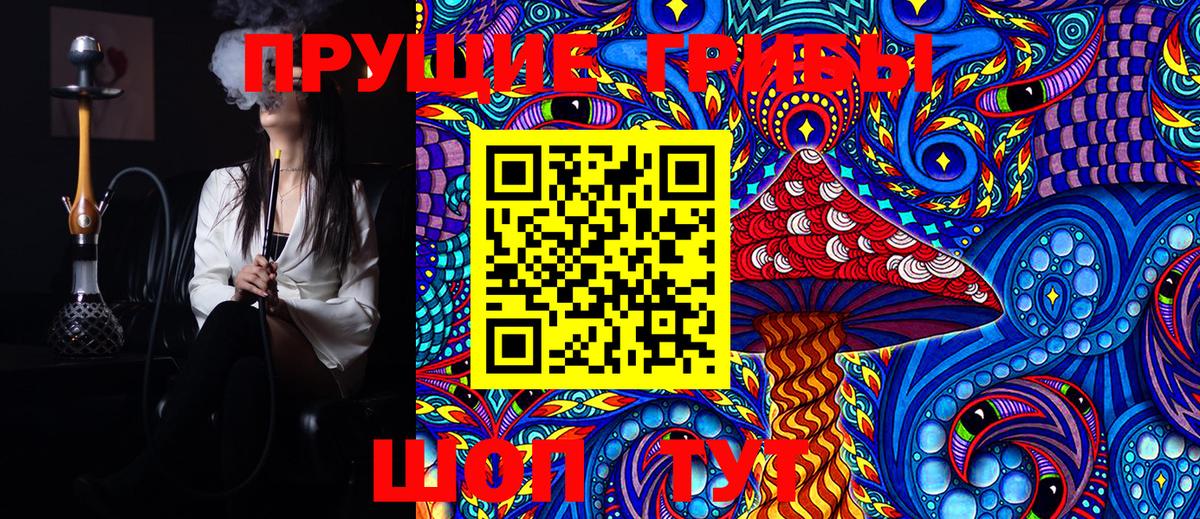 Лесной  Галлюциногенные грибы Cubensis  Вход с VPN 